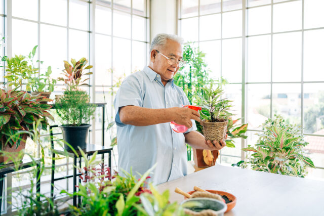 Will the Average Retirement Age Keep Rising? – Center for Retirement Research