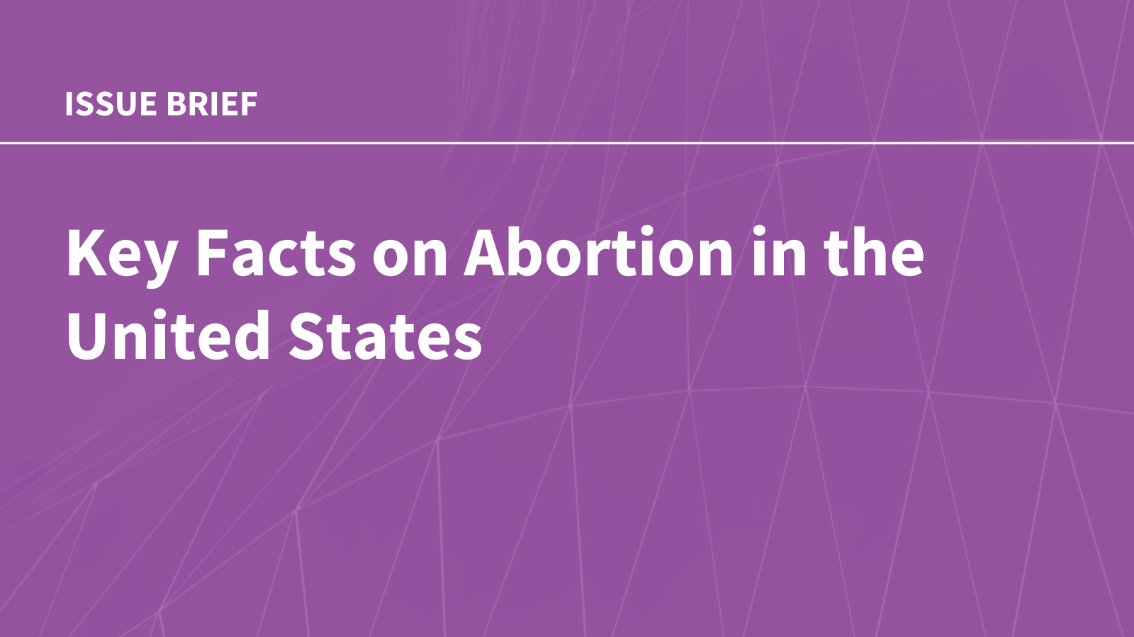 Key Facts on Abortion in the United States
