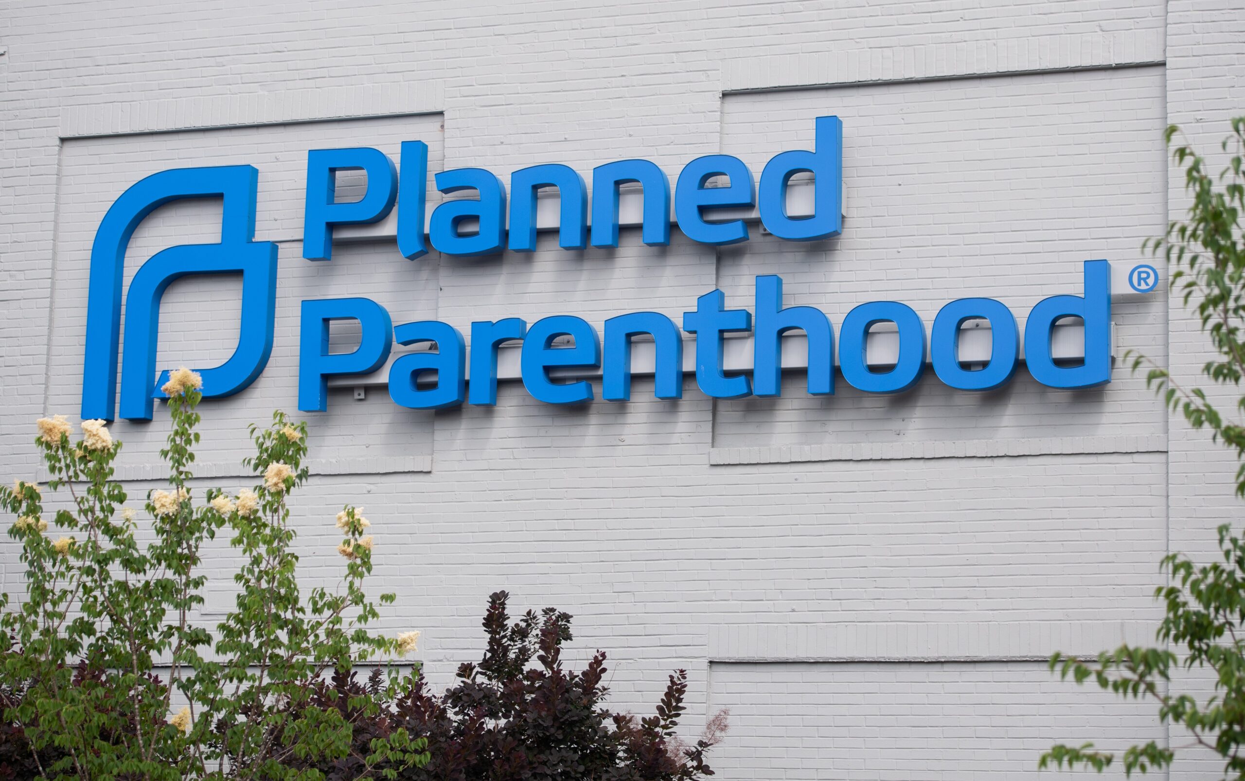 Senate bill cuts Medicaid funding for Planned Parenthood
