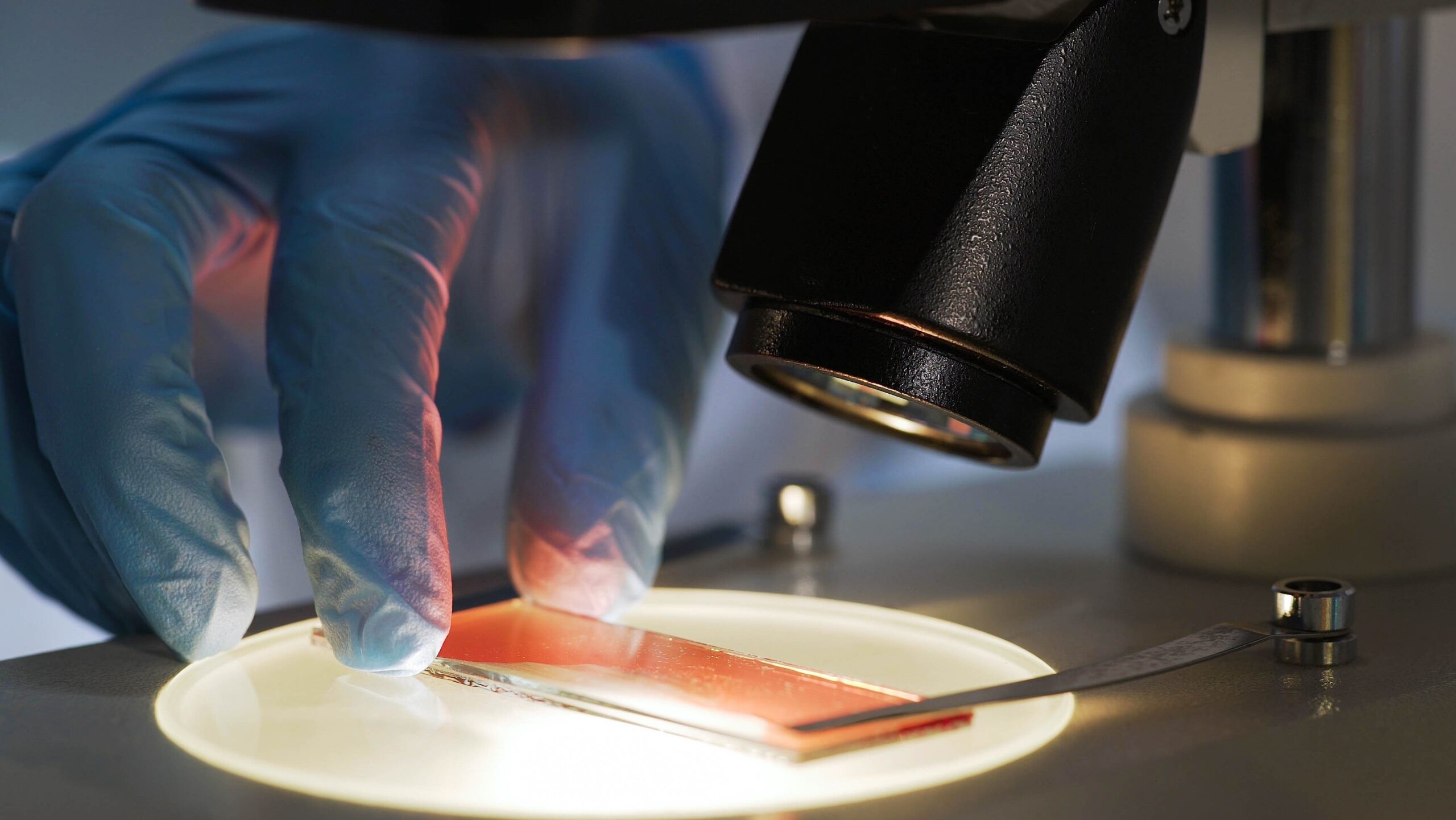 Tempus claims AI pathology developer Paige in $81M deal