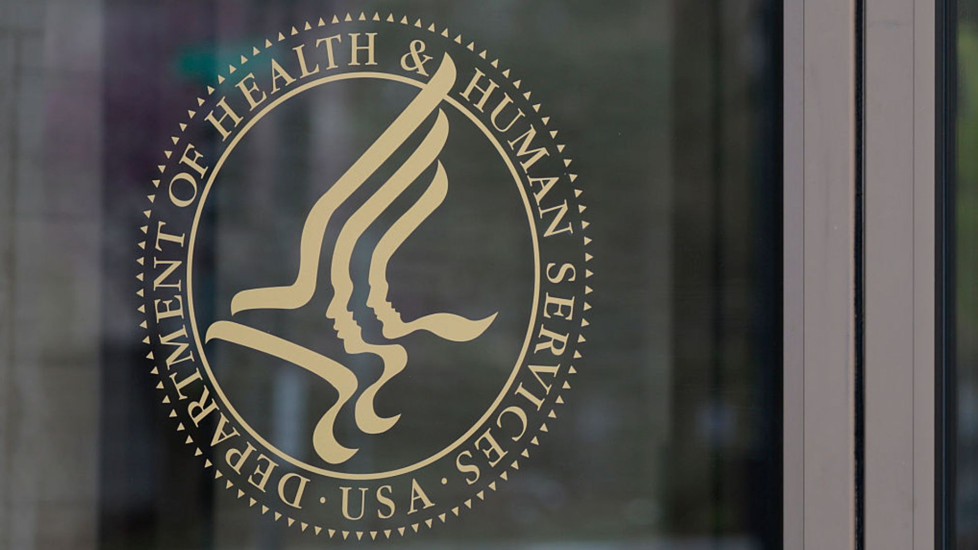 Unite Us CEO Dan Brillman top contender for Medicaid director