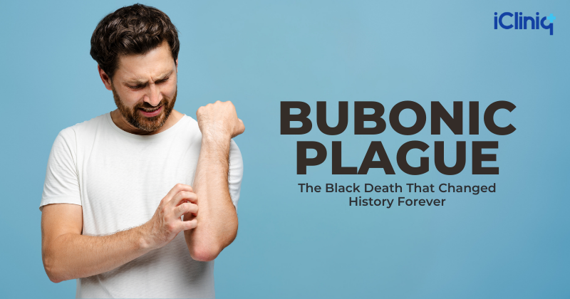 The Black Death That Changed History Forever