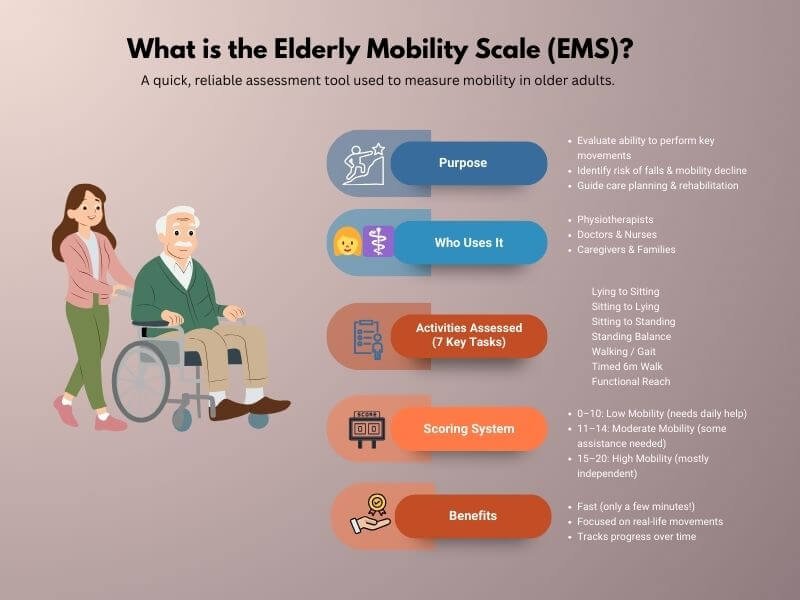 What is the Elderly Mobility Scale?