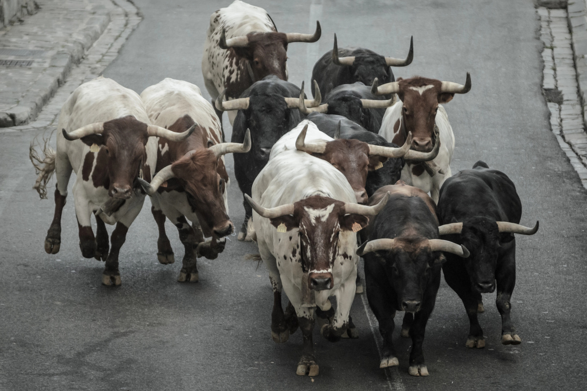 The Bull Market Runs Until it Doesn’t