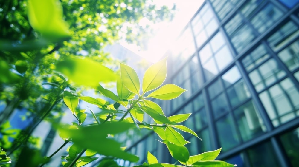 Navigating Mexico’s New Sustainability Reporting Landscape