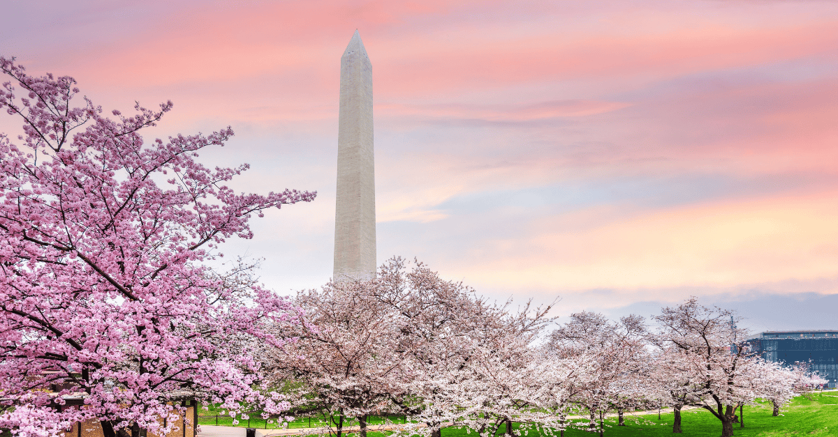 DC Insider April 2026: Washington Policy Shifts